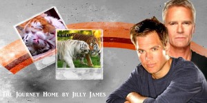 JourneyBanner