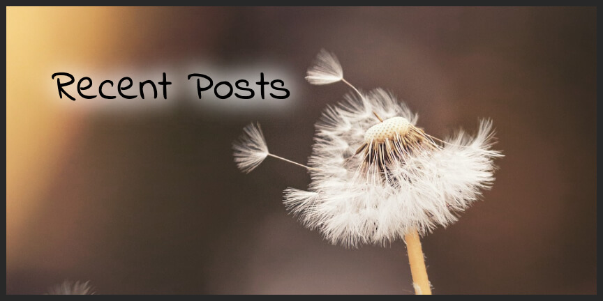 Recent Posts