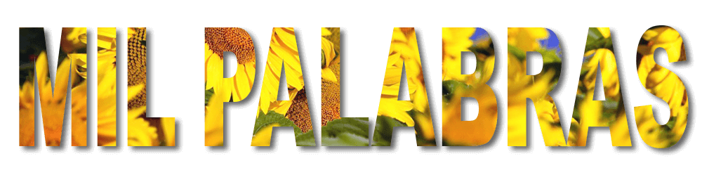 milpalabras-Sunflowers – Jilly James